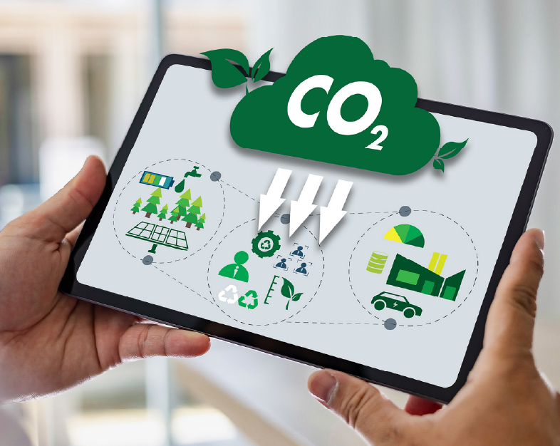 Carbon-Neutral Network Programs